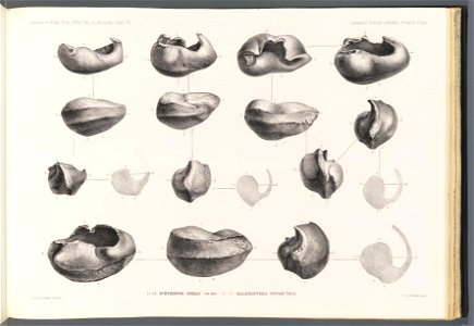 n211_w1150