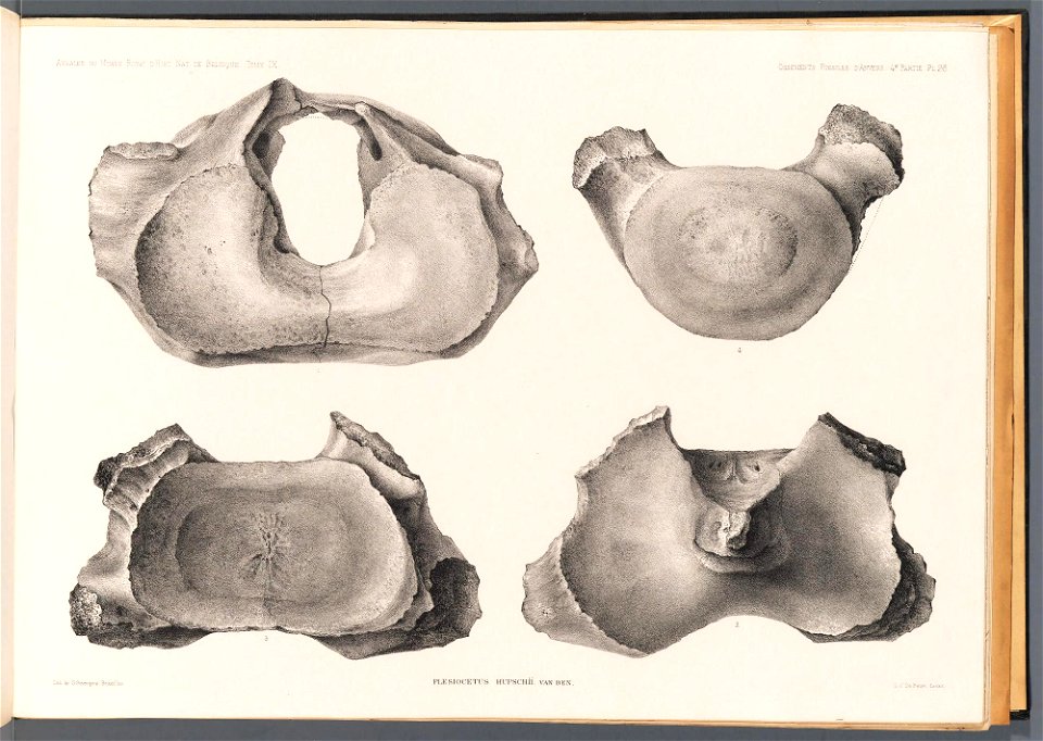 n111_w1150