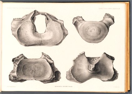n111_w1150