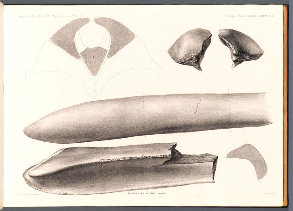 n51_w1150