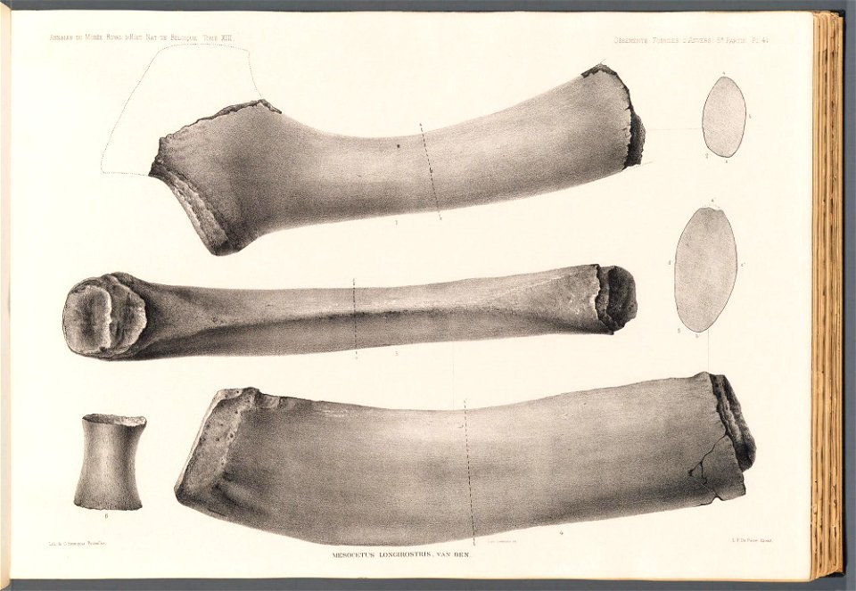 n173_w1150