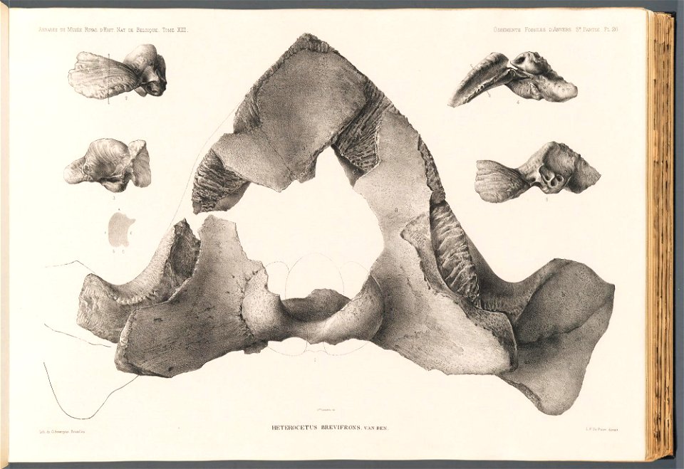 n111_w1150