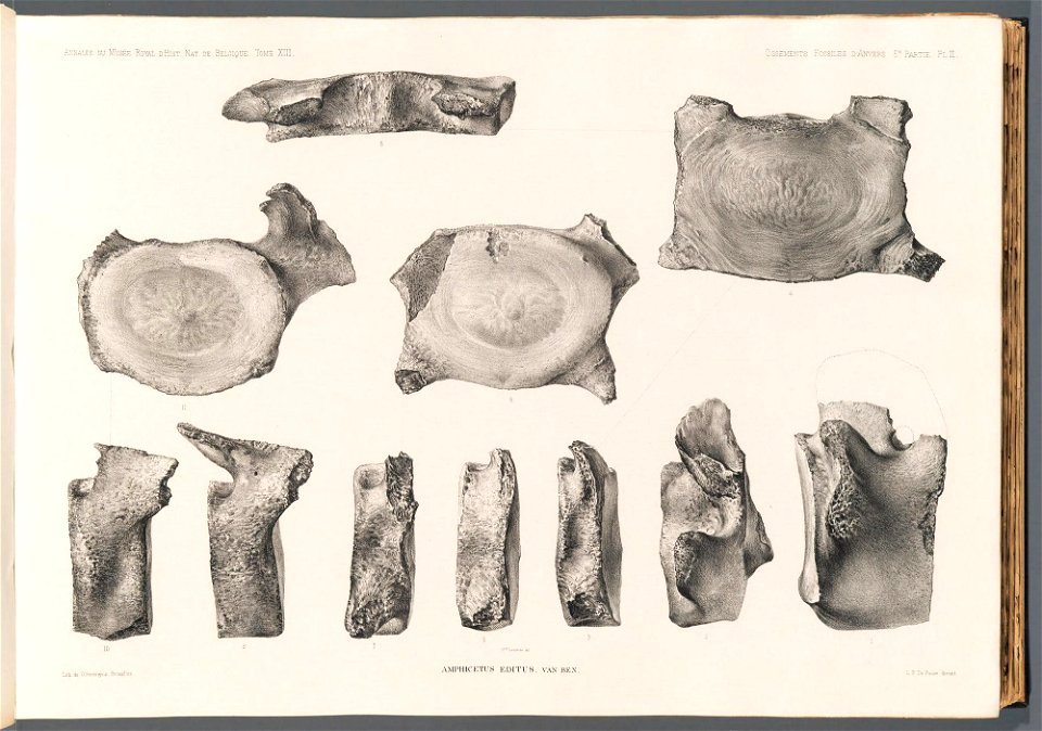 n51_w1150