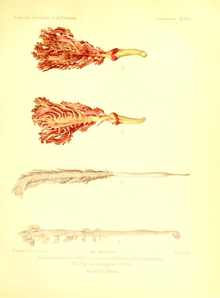n538_w1150