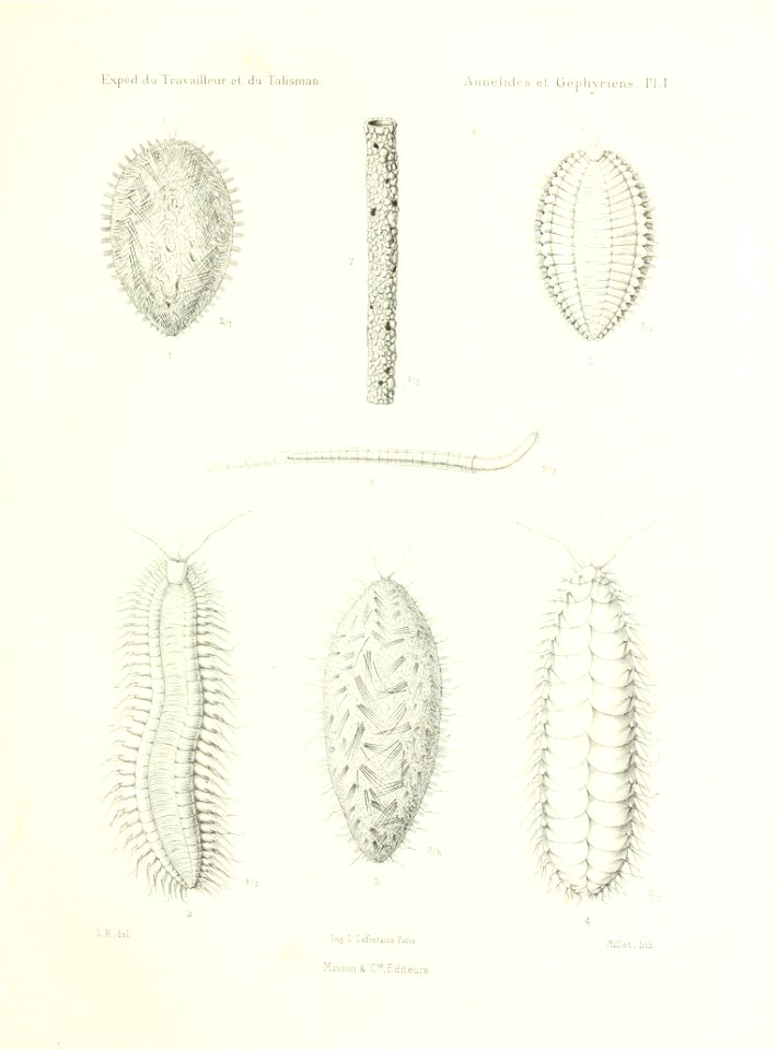 n508_w1150