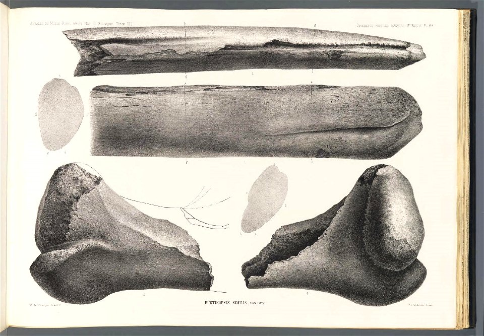 n207_w1150