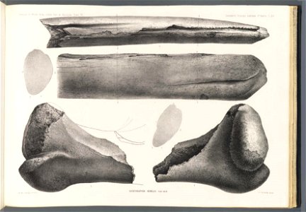 n207_w1150