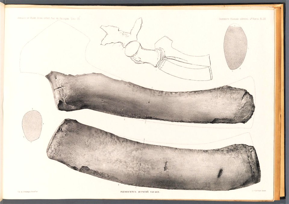 n107_w1150