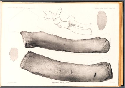 n107_w1150