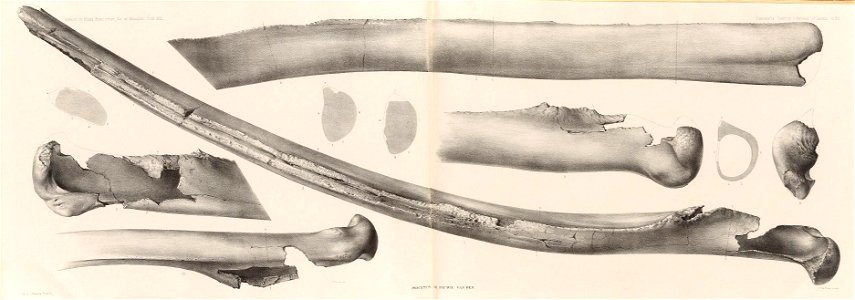 n292_w1150