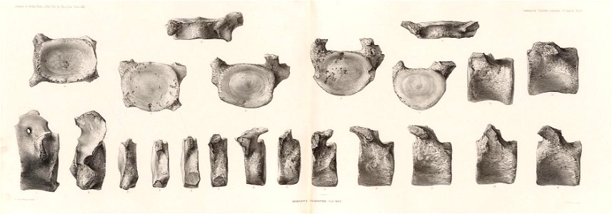n169_w1150