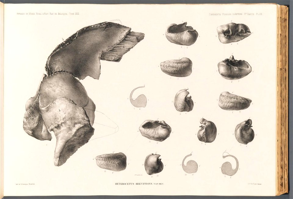 n107_w1150