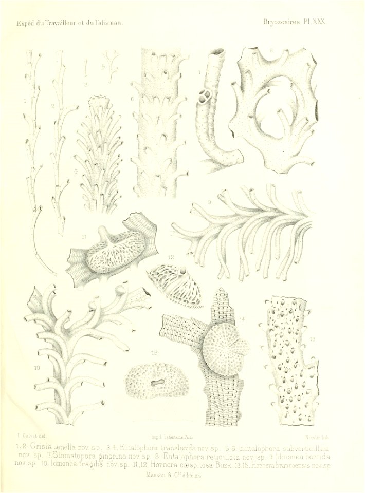 n566_w1150