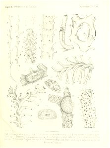 n566_w1150