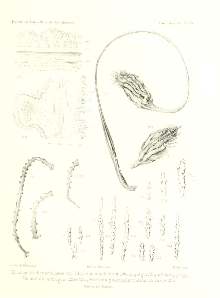 n536_w1150