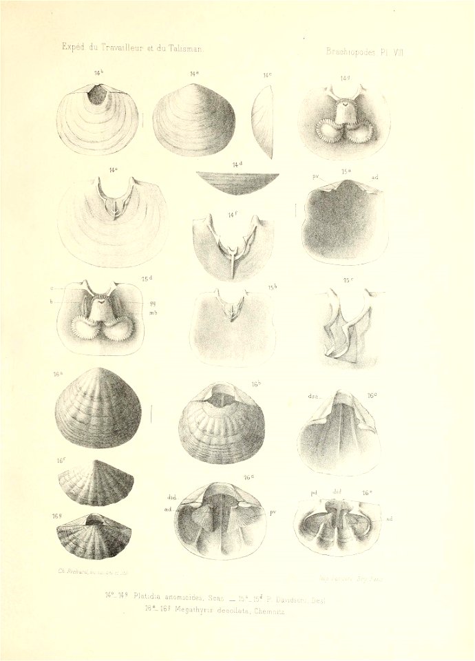 n164_w1150
