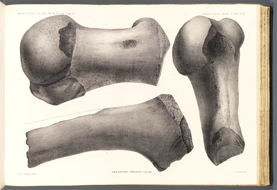 n141_w1150