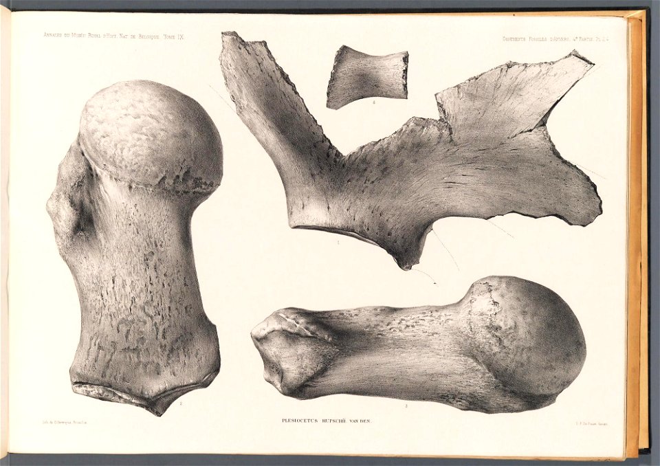 n103_w1150