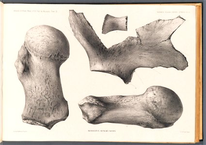 n103_w1150
