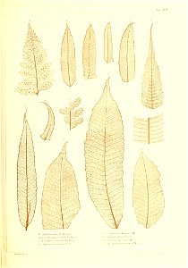 n432_w1150