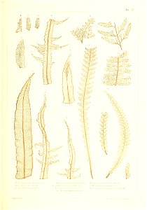 n402_w1150