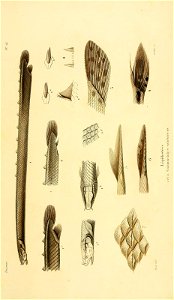 n658_w1150