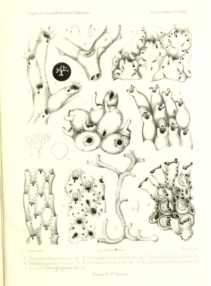 n564_w1150