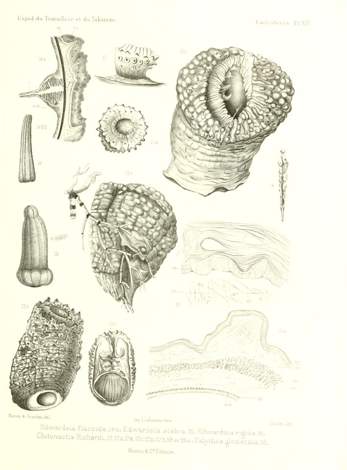 n534_w1150