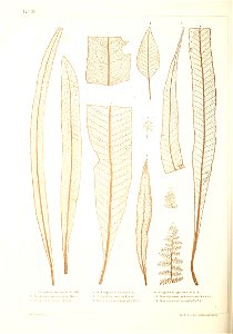 n353_w1150
