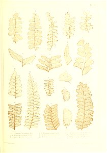 n368_w1150