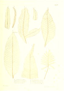 n338_w1150