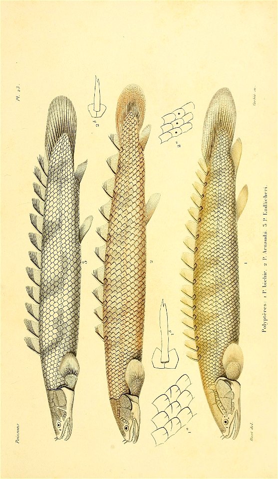 n656_w1150