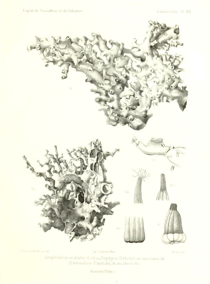 n532_w1150