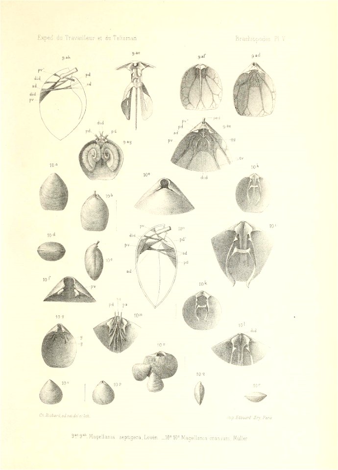 n158_w1150