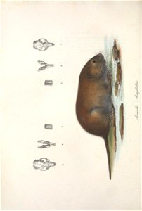 n197_w1150