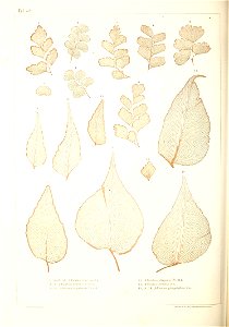 n365_w1150