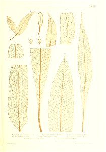n350_w1150