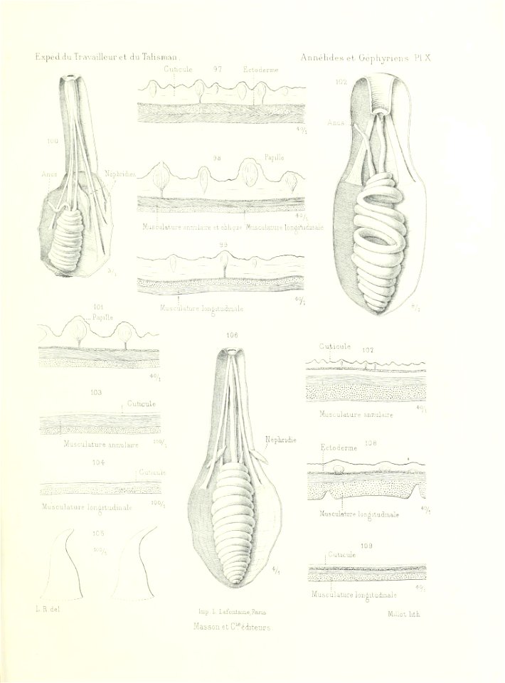 n526_w1150