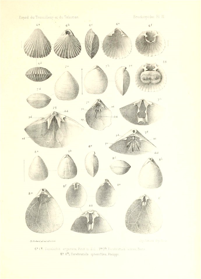 n154_w1150