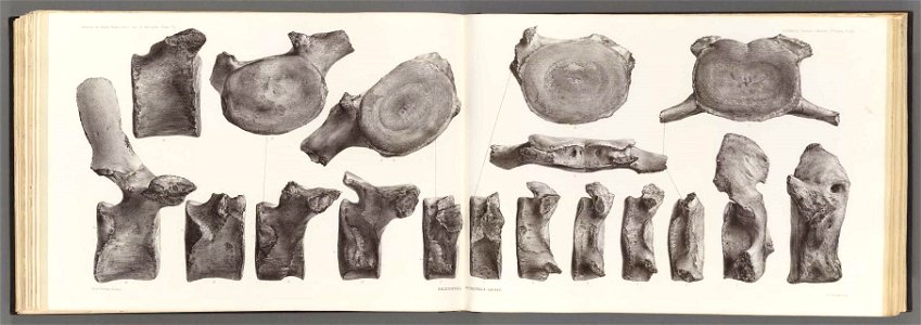 n183_w1150