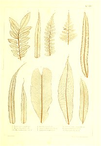 n502_w1150