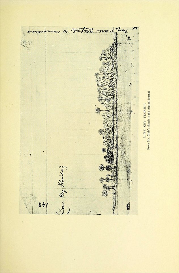 n200_w1150
