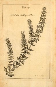 n563_w1150