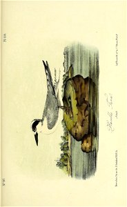 n348_w1150