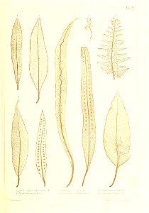 n358_w1150