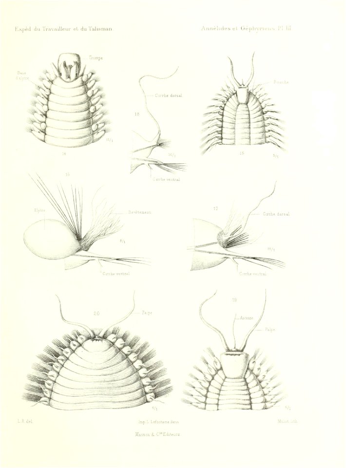 n512_w1150