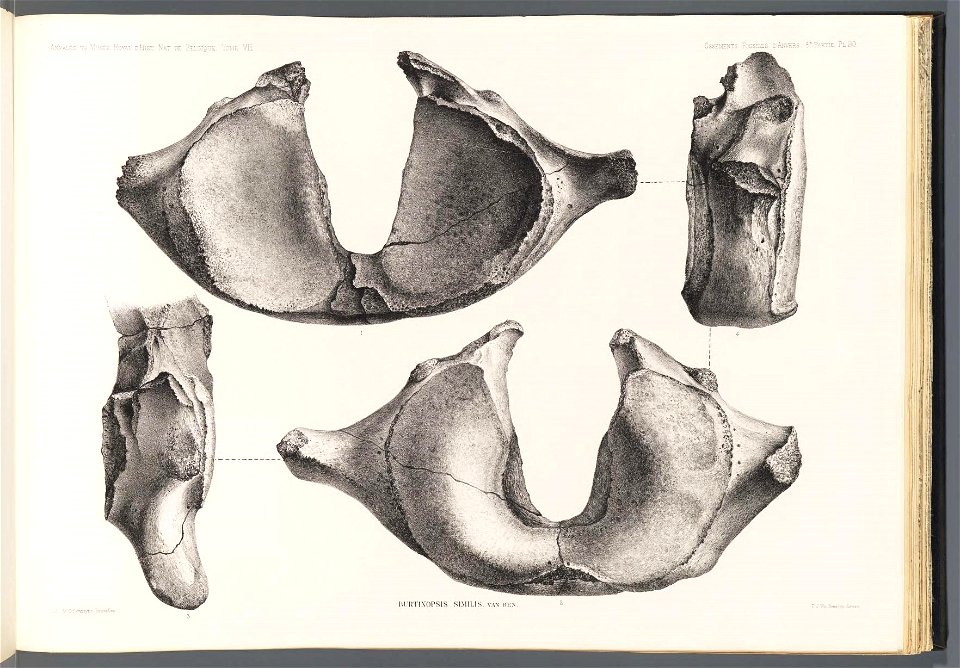 n215_w1150