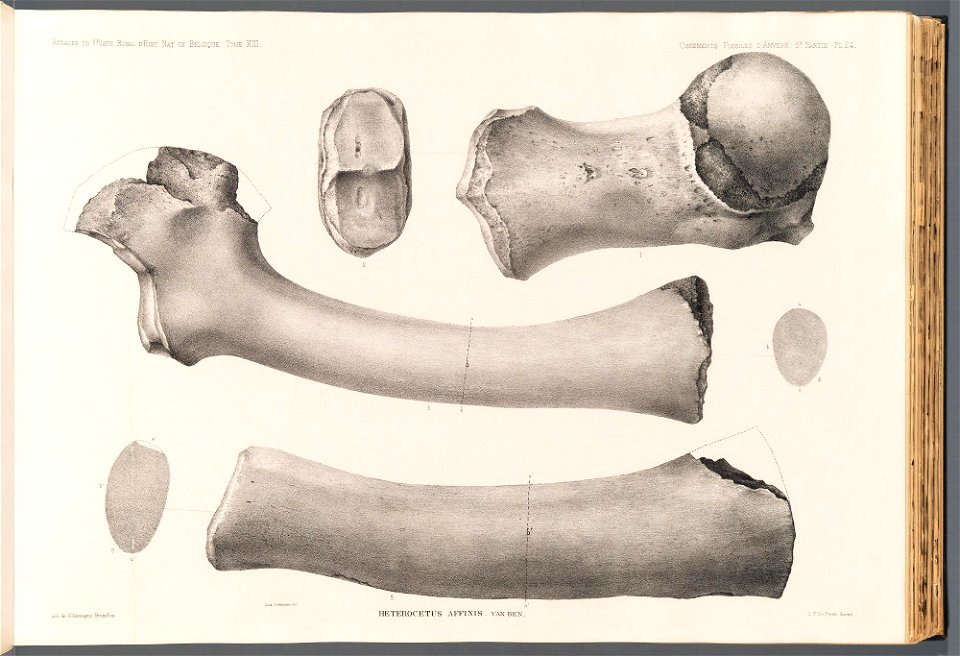 n103_w1150