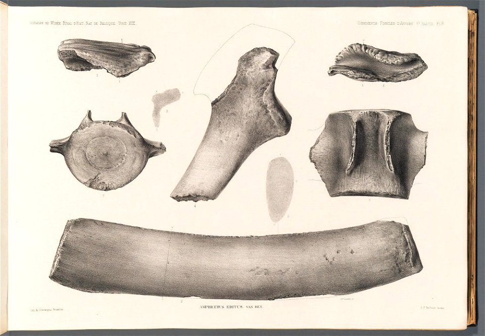 n43_w1150