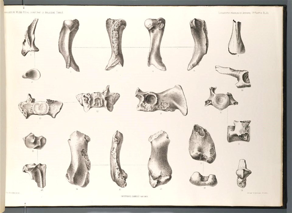 n58_w1150